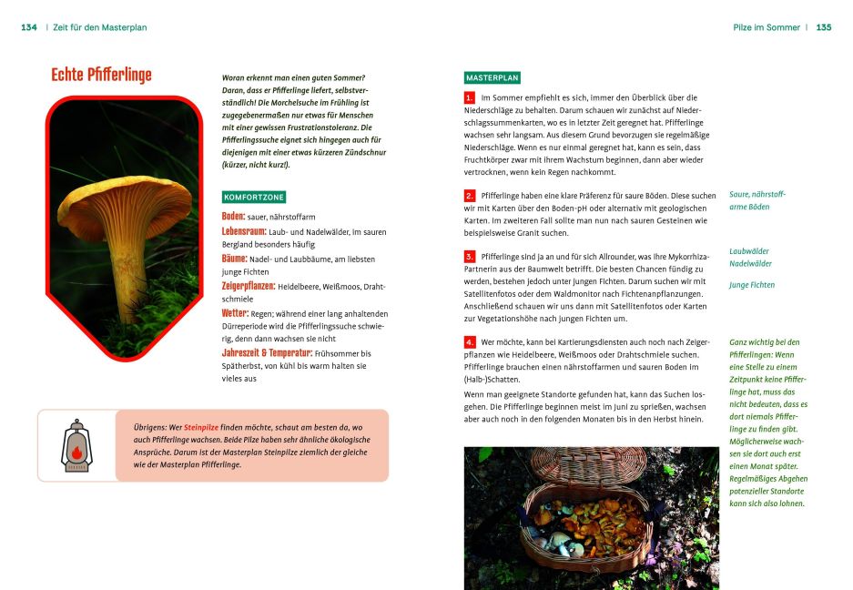 InsideView 4