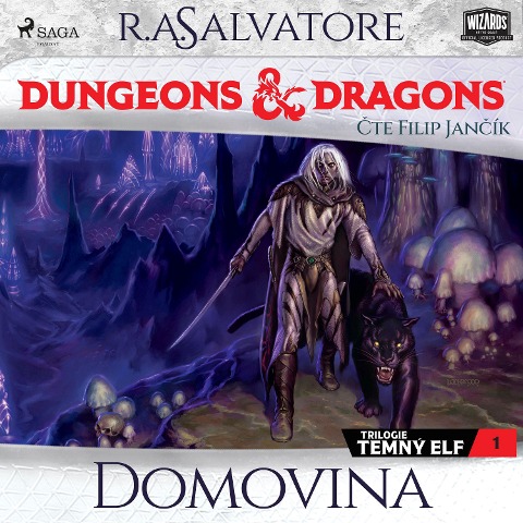 Dungeons & Dragons. Legenda o Drizztovi. Temný elf 1: Domovina - R. A. Salvatore