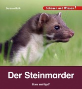 Cover-Bild zum Titel 'Der Steinmarder' von 'Barbara Rath'