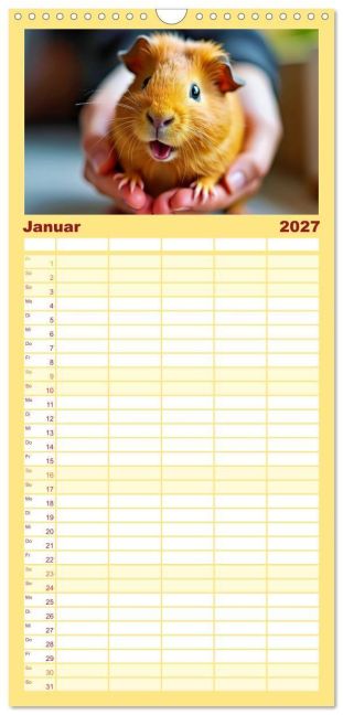 InsideView 5