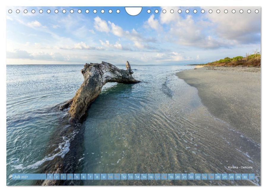 InsideView 12