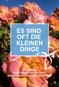 Cover-Bild zum Titel 'Es sind oft die kleinen Dinge' von 'Silvia Löwenstein'
