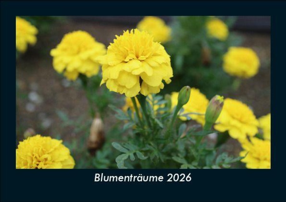 Blumenträume 2026 Fotokalender DIN A5 - Tobias Becker