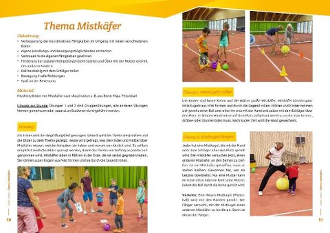 InsideView 4