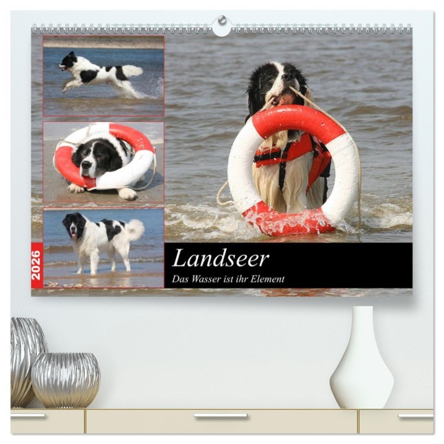 Landseer - Das Wasser ist ihr Element (hochwertiger Premium Wandkalender 2026 DIN A2 quer), Kunstdruck in Hochglanz - Barbara Mielewczyk Und Brigitte Weil
