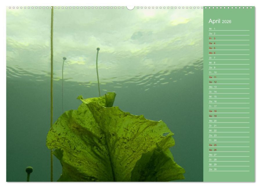 InsideView 8
