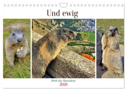 Cover-Bild zum Titel 'Und ewig pfeift das Murmeltier (Wandkalender 2026 DIN A4 quer), CALVENDO Monatskalender' von 'Susan Michel'