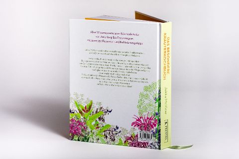 InsideView 6