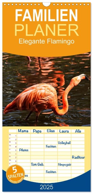 Familienplaner 2025 - Elegante Flamingo mit 5 Spalten (Wandkalender, 21 x 45 cm) CALVENDO - Kattobello Kattobello