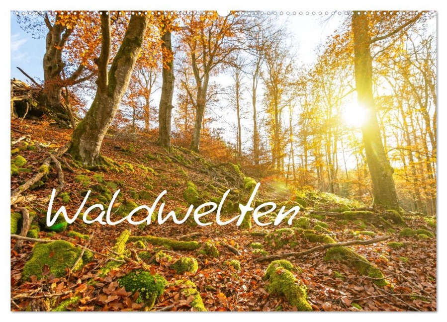 Waldwelten (Wandkalender 2026 DIN A2 quer), CALVENDO Monatskalender - Fotosvonlucke Fotosvonlucke