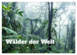Wälder der Welt (Wandkalender 2026 DIN A2 quer), CALVENDO Monatskalender - Matteo Colombo