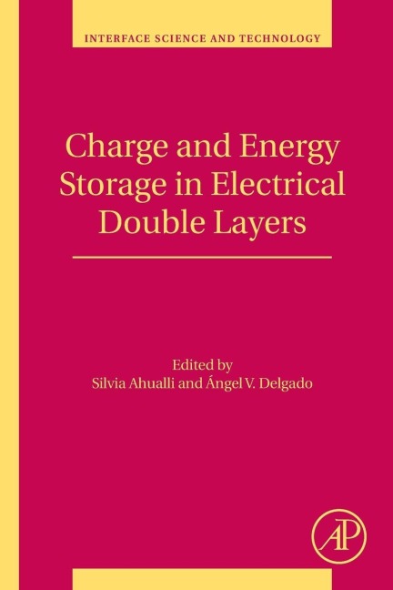 Charge and Energy Storage in Electrical Double Layers - 