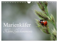 Cover-Bild zum Titel 'Marienkäfer - kleine Glücksmomente (Wandkalender 2026 DIN A4 quer), CALVENDO Monatskalender' von 'Karin Dederichs'