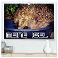 Meine Igel (hochwertiger Premium Wandkalender 2025 DIN A2 quer), Kunstdruck in Hochglanz - Henning von Löwis of Menar