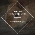 Cover-Bild zum Titel 'Tommy and the Wishing Stone' von 'Thornton W. Burgess'