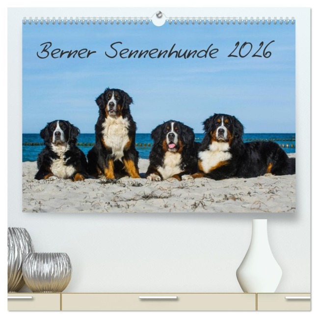 Berner Sennenhund 2026 (hochwertiger Premium Wandkalender 2026 DIN A2 quer), Kunstdruck in Hochglanz - Sigrid Starick