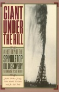 Cover-Bild zum Titel 'Giant Under the Hill' von 'Jo Stiles, Judith Walker Linsley, Ellen Walker Rienstra'