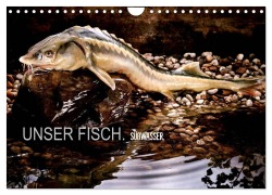 Cover-Bild zum Titel 'UNSER FISCH. SÜßWASSER. (Wandkalender 2026 DIN A4 quer), CALVENDO Monatskalender' von 'Arne Morgenstern'