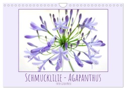 Cover-Bild zum Titel 'Schmucklilie - Agapanthus (Wandkalender 2026 DIN A4 quer), CALVENDO Monatskalender' von 'Gisela Kruse'