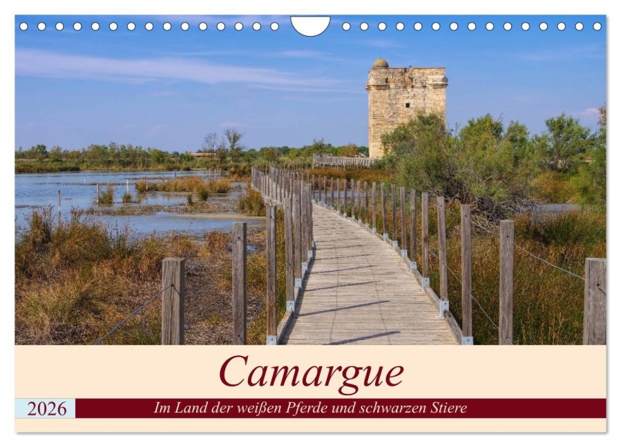 Camargue - Im Land der weißen Pferde und schwarzen Stiere (Wandkalender 2026 DIN A4 quer), CALVENDO Monatskalender - LianeM LianeM