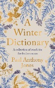 Cover-Bild zum Titel 'A Winter Dictionary' von 'Paul Anthony Jones'