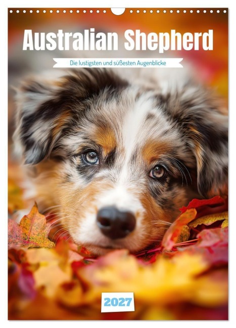 Australian Shepherd (Wandkalender 2027 DIN A3 hoch), CALVENDO Monatskalender - Steffen Gierok-Latniak