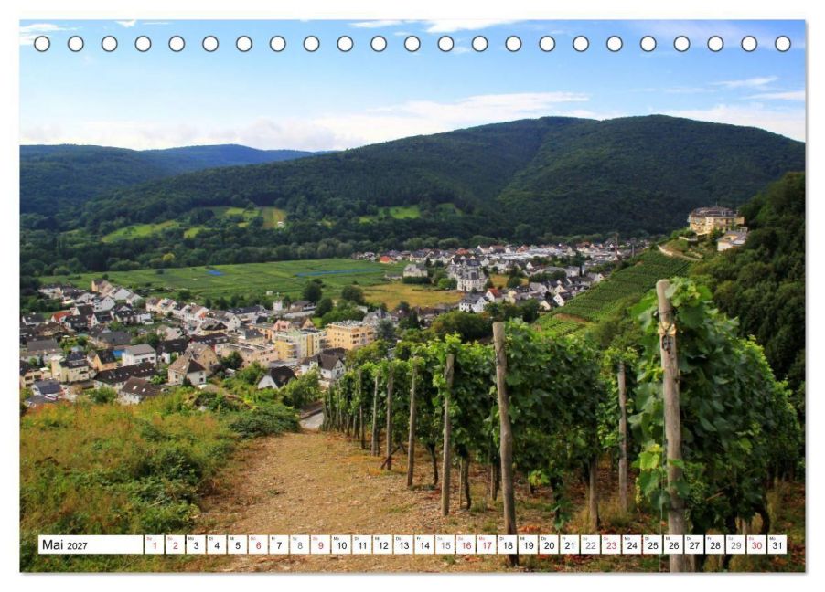 InsideView 10