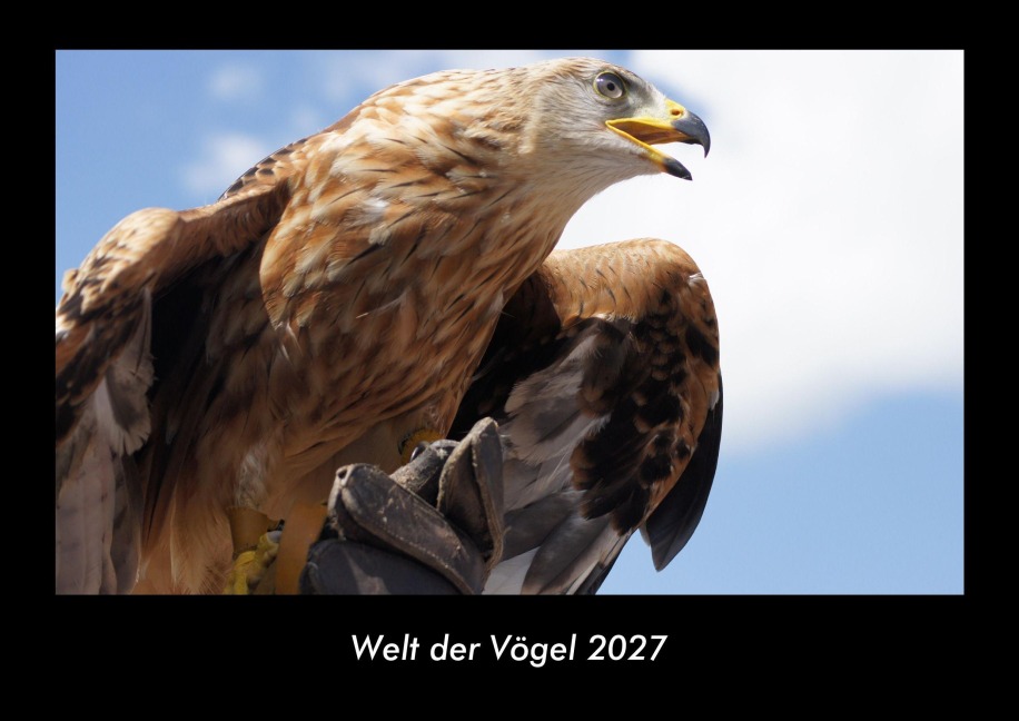 Welt der Vögel 2027 Fotokalender DIN A3 - Tobias Becker