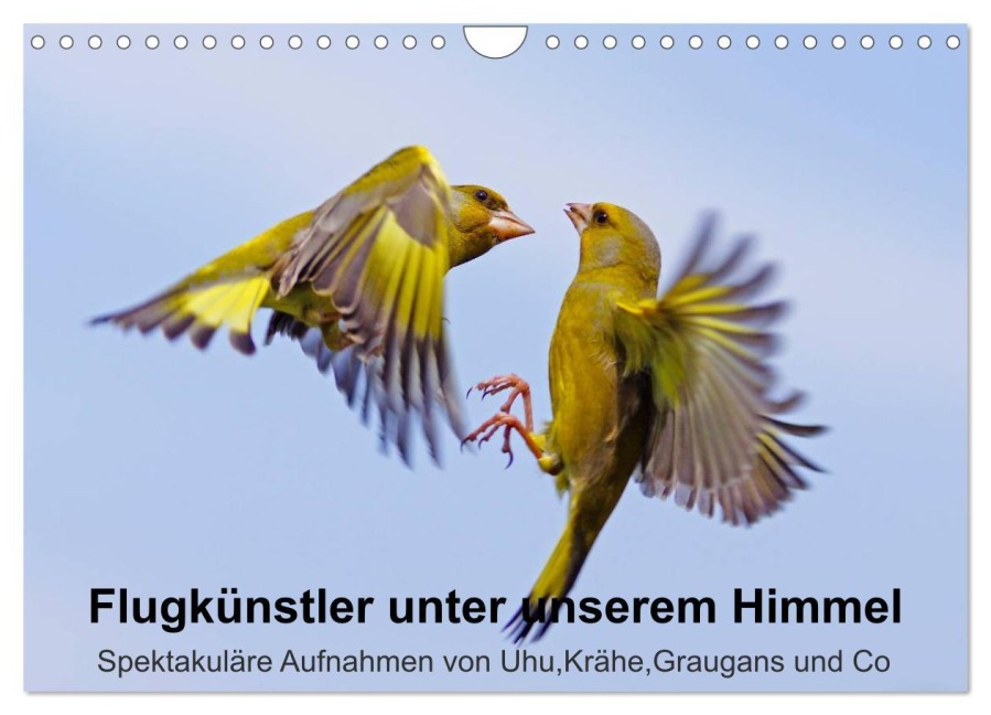 Flugkünstler unter unserem Himmel - Spektakuläre Aufnahmen von Uhu,Krähe,Graugans und Co (Wandkalender 2026 DIN A4 quer), CALVENDO Monatskalender - Lutz Klapp
