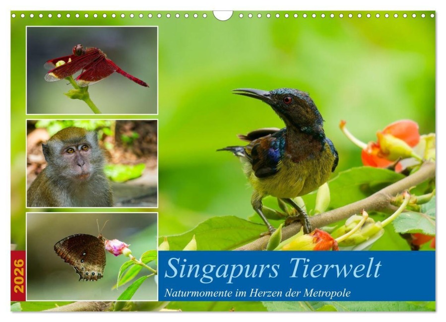 Singapurs Tierwelt (Wandkalender 2026 DIN A3 quer), CALVENDO Monatskalender - Martin Korelski