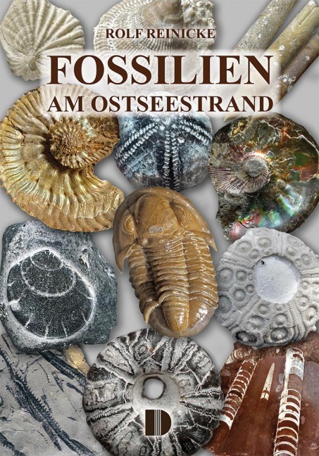 Fossilien am Ostseestrand - Rolf Reinicke
