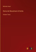 Cover-Bild zum Titel 'Storia dei Musulmani di Sicilia' von 'Michele Amari'