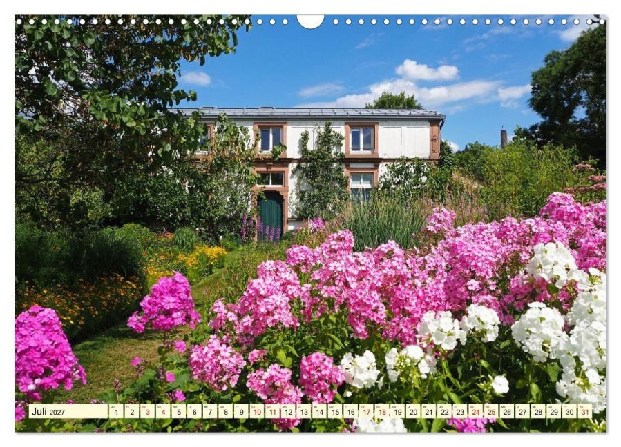 InsideView 12