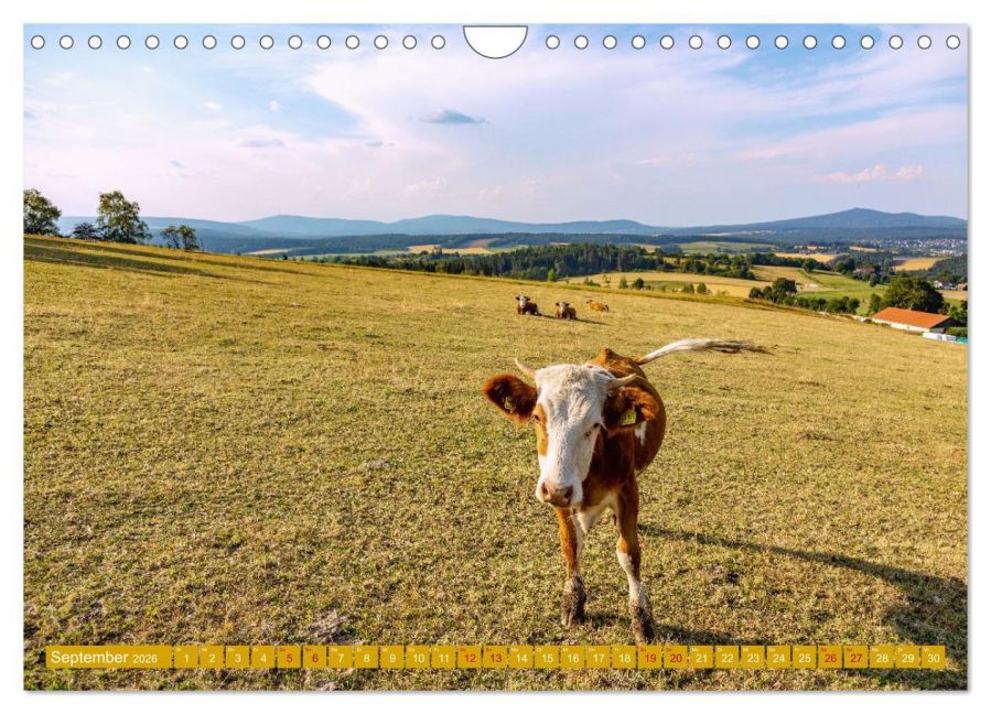 InsideView 14