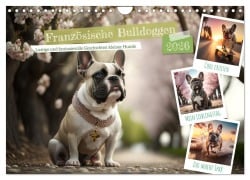 Cover-Bild zum Titel 'Französische Bulldoggen (Wandkalender 2026 DIN A4 quer), CALVENDO Monatskalender' von 'Steffen Gierok-Latniak'