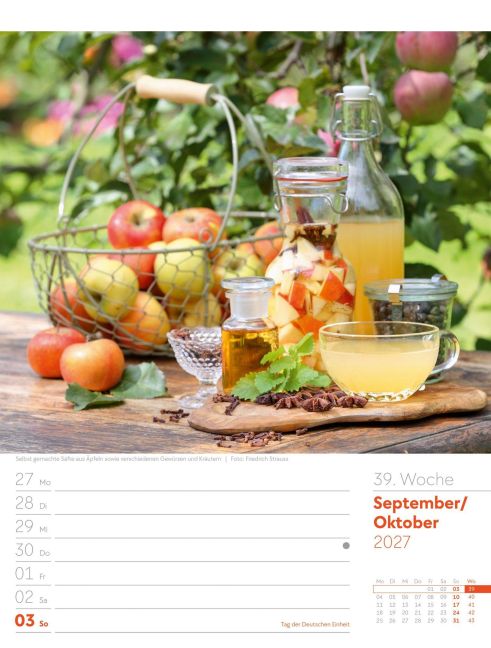InsideView 43