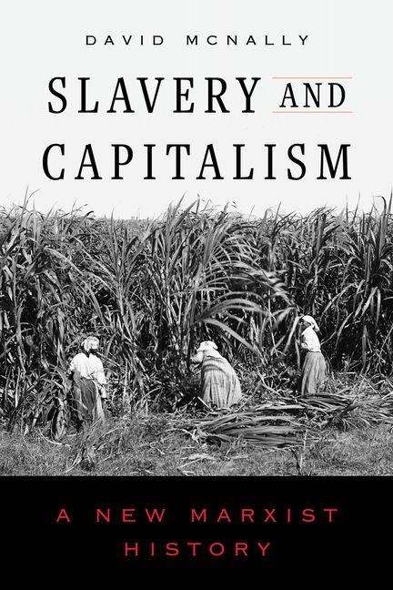 Slavery and Capitalism - David Mcnally