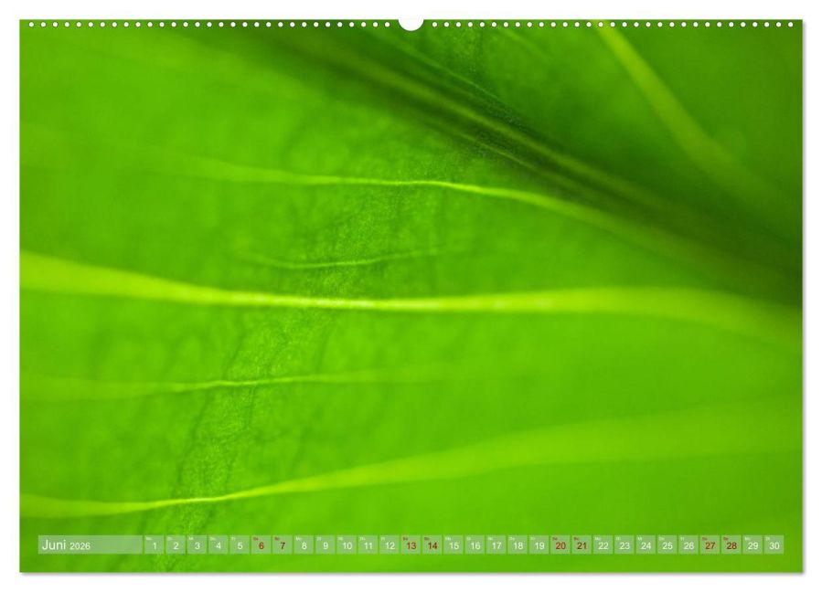 InsideView 10
