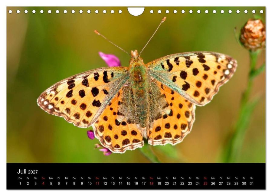InsideView 12
