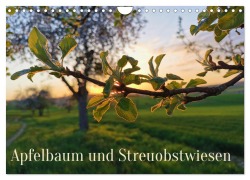 Cover-Bild zum Titel 'Apfelbaum und Streuobstwiesen (Wandkalender 2026 DIN A4 quer), CALVENDO Monatskalender' von 'Stefan Weis'