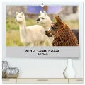 Unter Lamas und Alpakas (hochwertiger Premium Wandkalender 2024 DIN A2 quer), Kunstdruck in Hochglanz - Oliver Nowak