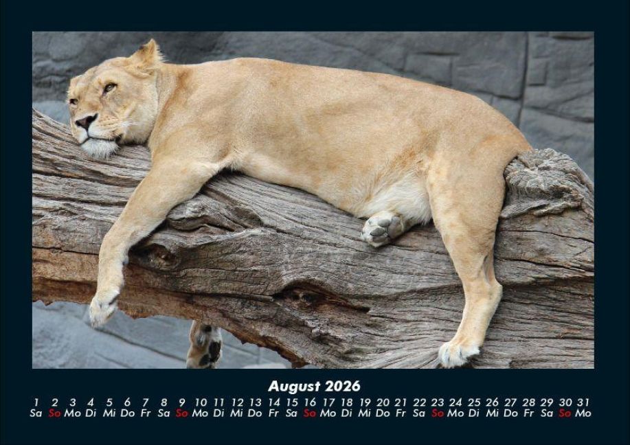 InsideView 12