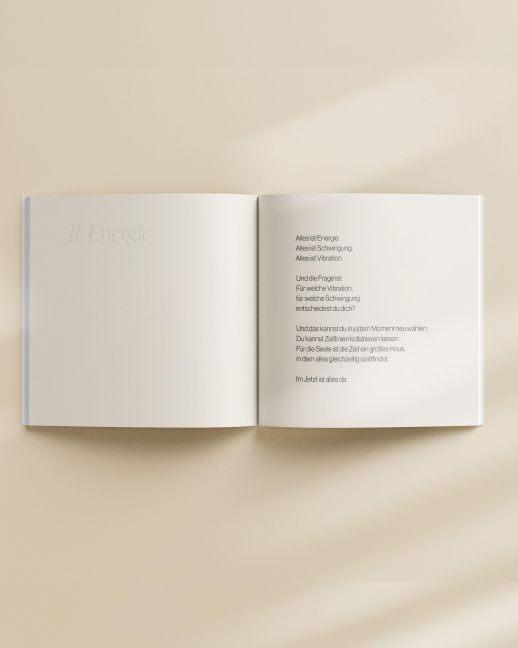 InsideView 2
