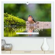 Sperlingsvögel - Die kleinen Sänger mit den großen Stimmen (hochwertiger Premium Wandkalender 2026 DIN A2 quer), Kunstdruck in Hochglanz - Arne Wünsche