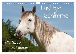 Cover-Bild zum Titel 'Lustiger Schimmel - ein Pferd mit Humor (Wandkalender 2026 DIN A4 quer), CALVENDO Monatskalender' von 'Meike Bölts'