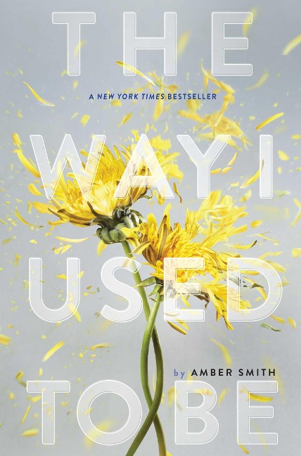 The Way I Used to Be - Amber Smith