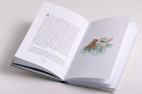 InsideView 8