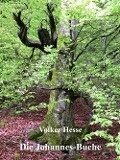 Cover-Bild zum Titel 'Die Johannes-Buche' von 'Volker Hesse'