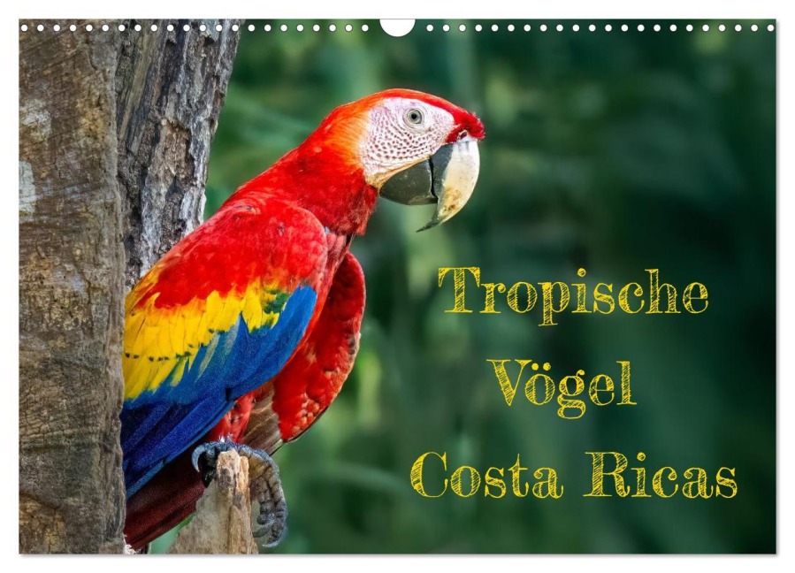 Tropische Vögel Costa Ricas (Wandkalender 2026 DIN A3 quer), CALVENDO Monatskalender - Detlef Both