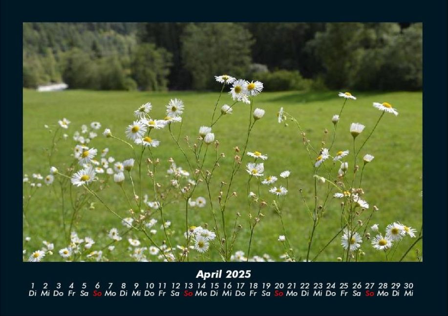 InsideView 8